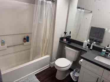 Room for rent in 
apartment