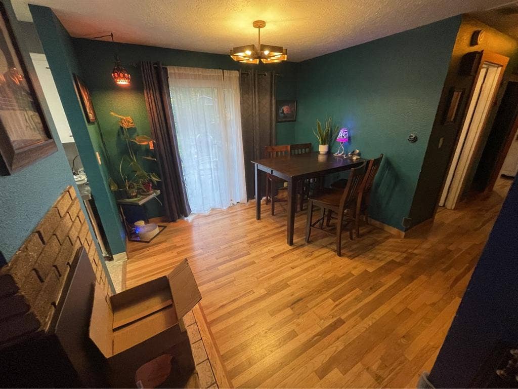 Furnished room with one roommate