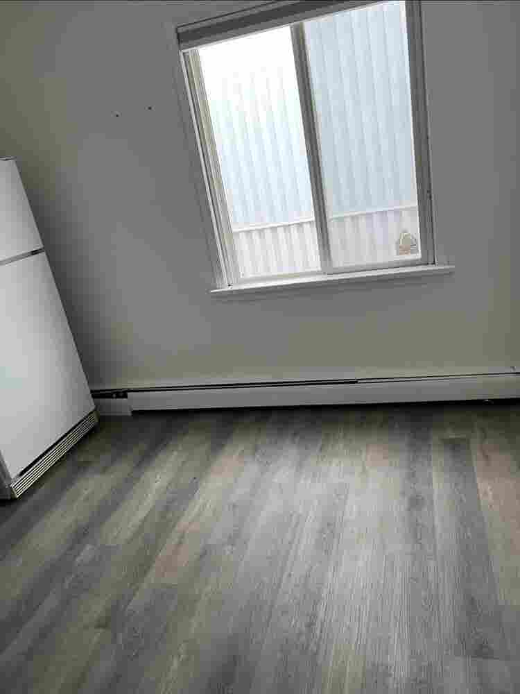 Looking for a roommate 