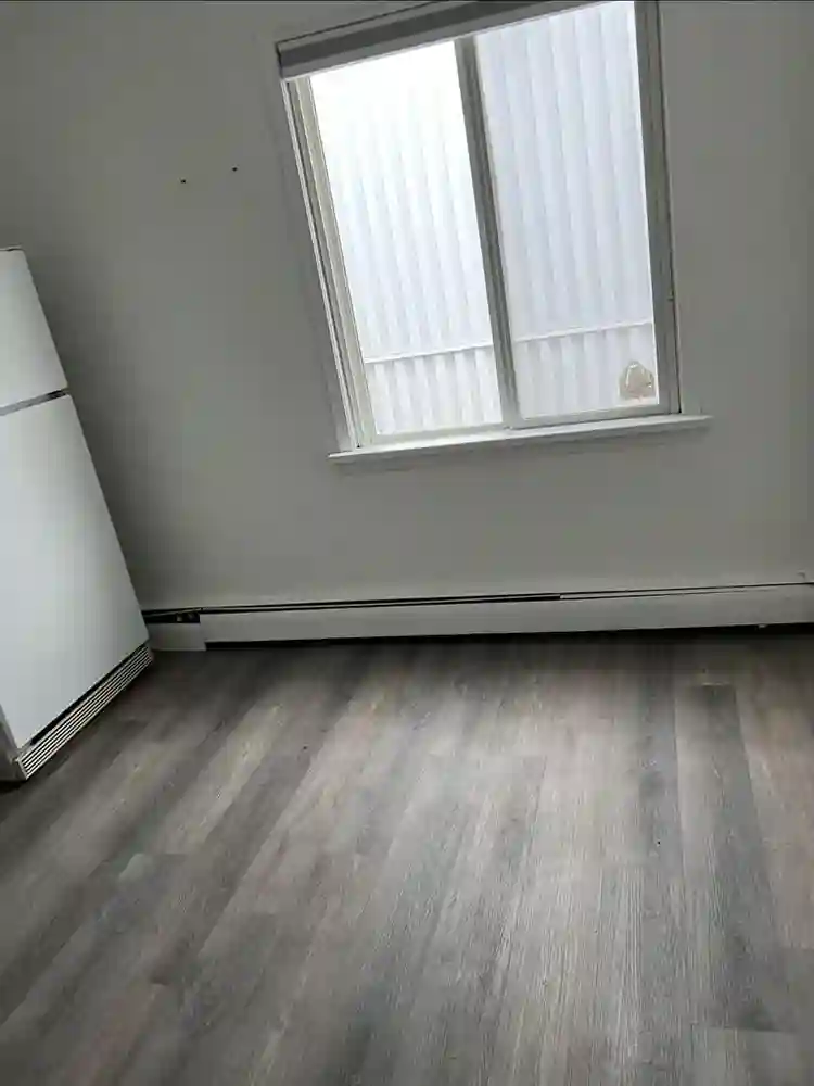 Looking for a roommate