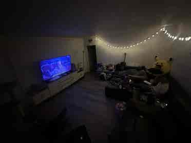 Looking for a roommate 