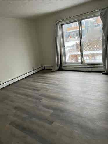 Looking for a roommate 