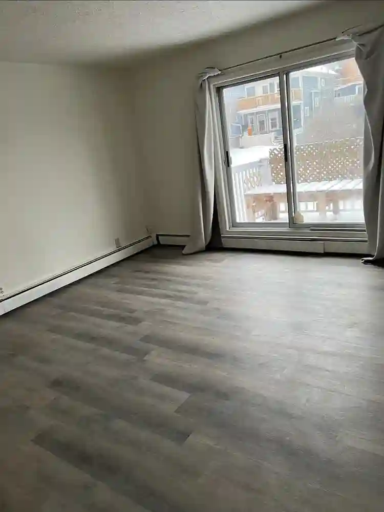 Looking for a roommate