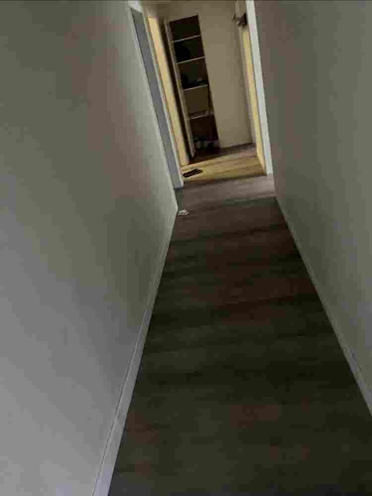 Looking for a roommate 