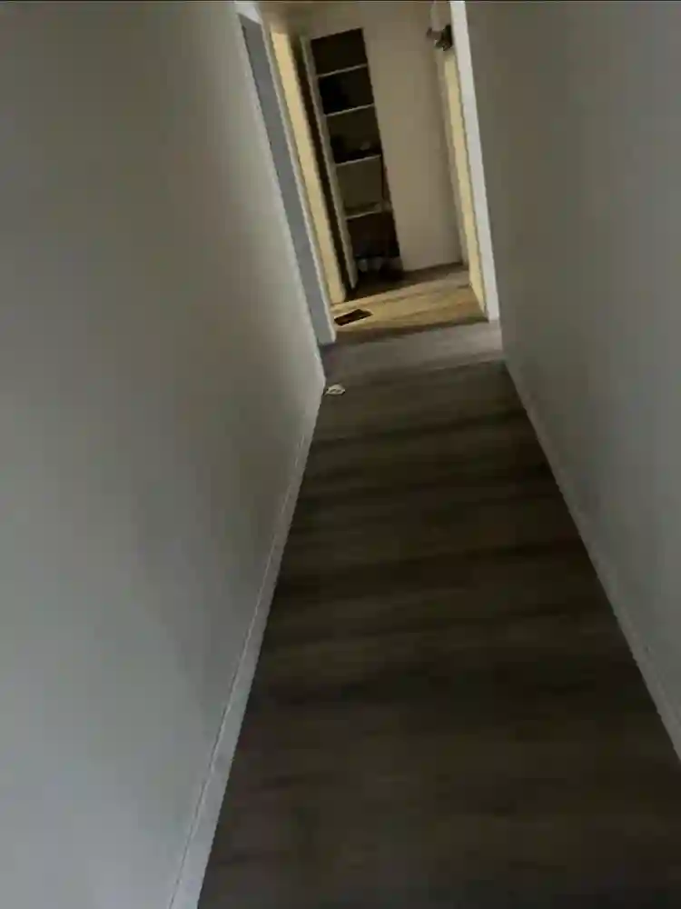 Looking for a roommate