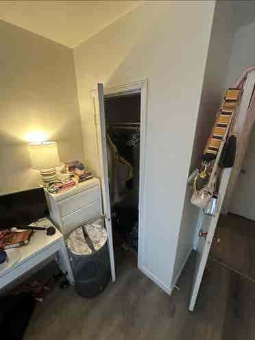 Looking for a roommate 