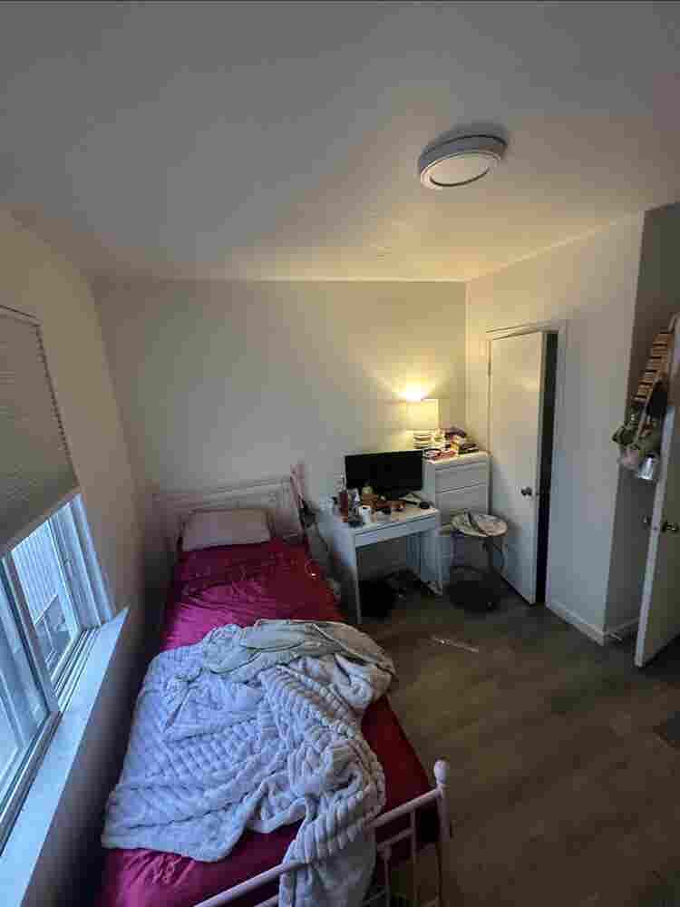 Looking for a roommate 
