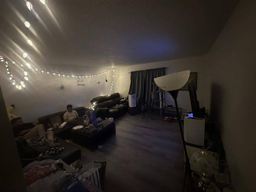 Looking for a roommate
