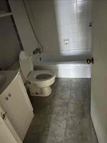 Looking for a roommate 