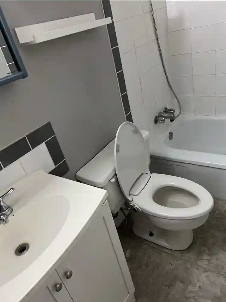 Looking for a roommate