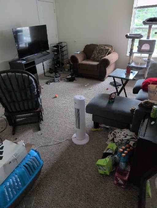 Looking for a roomate asap