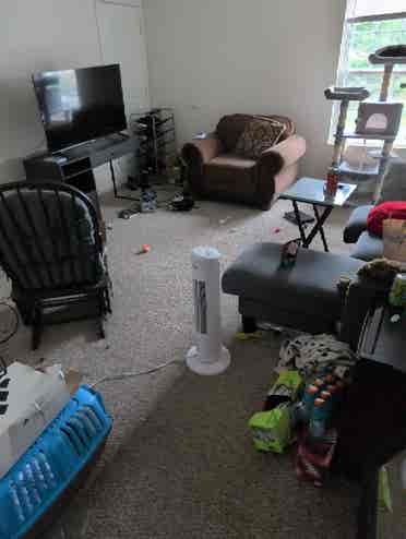 Looking for a roomate asap