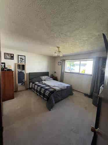 Room in Cute Home!