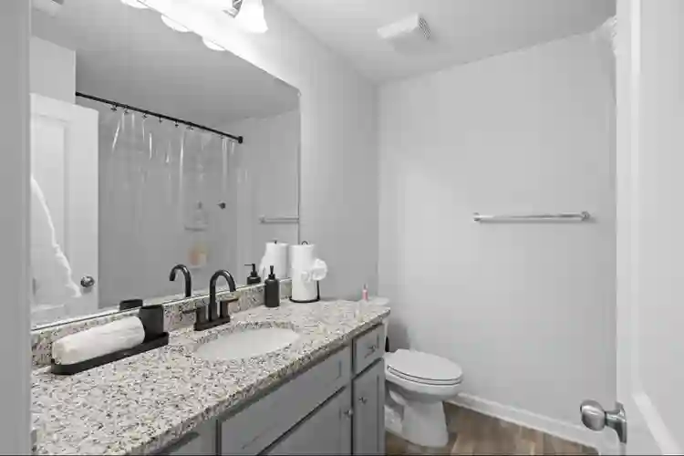 Entire Home Lithonia or Roommate