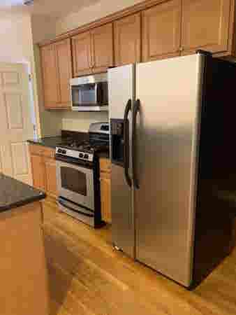 ROOM FOR RENT- BROOKLINE APARTMENT