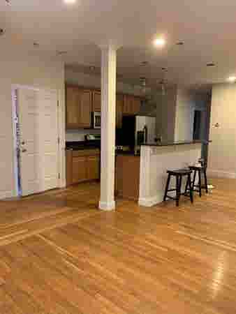 ROOM FOR RENT- BROOKLINE APARTMENT