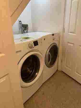 ROOM FOR RENT- BROOKLINE APARTMENT