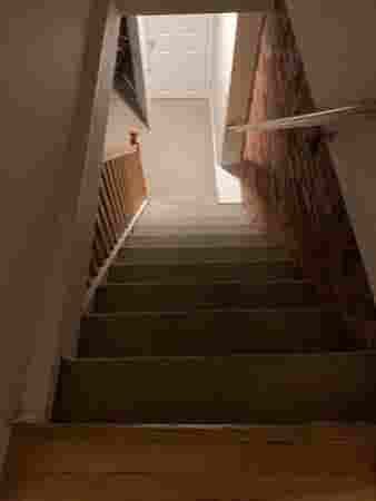 ROOM FOR RENT- BROOKLINE APARTMENT