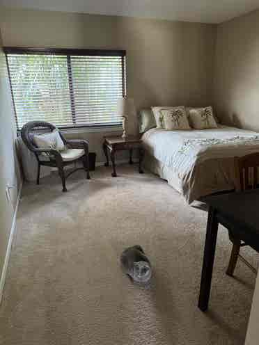 Looking for a housemate in Tampa