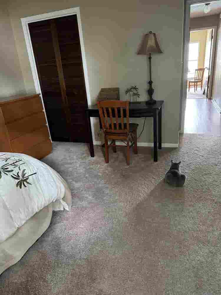Looking for a housemate in Tampa