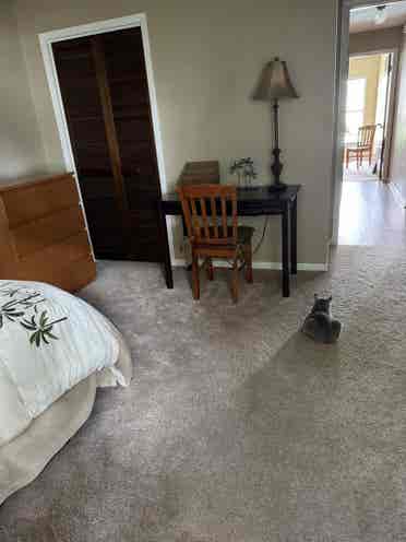 Looking for a housemate in Tampa