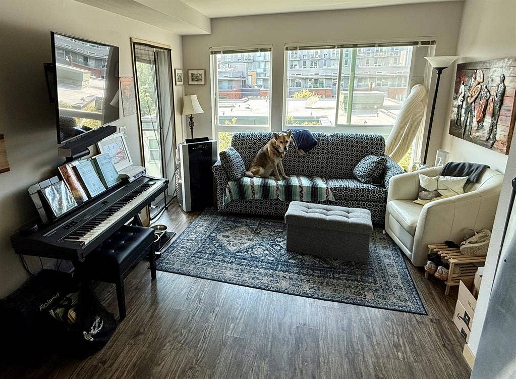 Quiet & Convenient (+🐶)