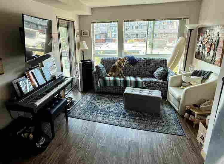 Quiet & Convenient (+🐶)