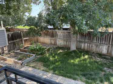 Renting a full room and bathroom!