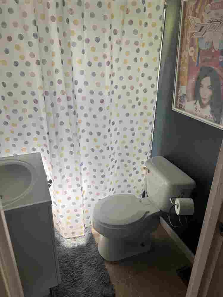 Room 4 Rent