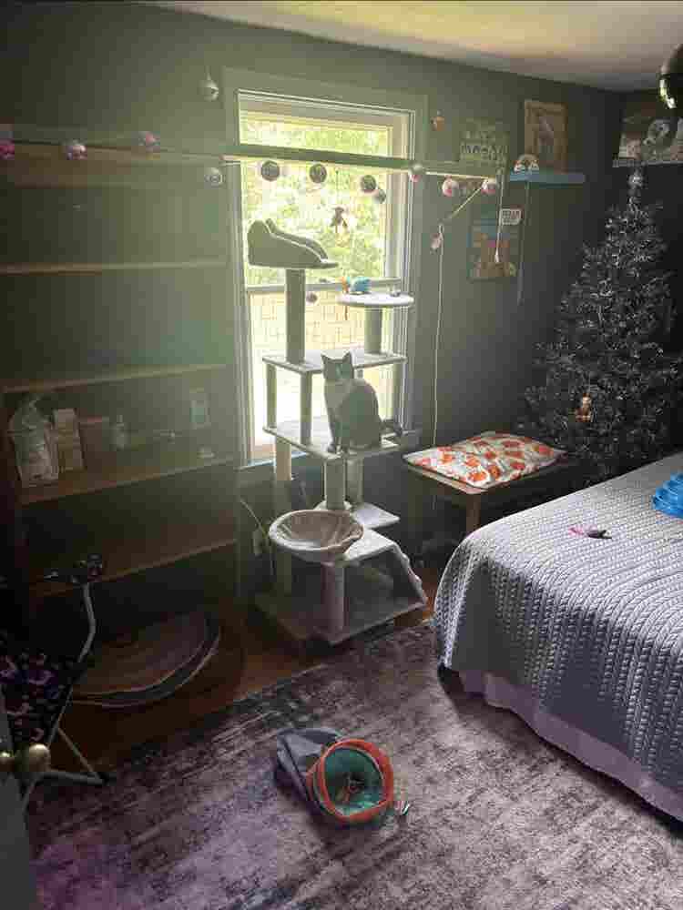 Room 4 Rent