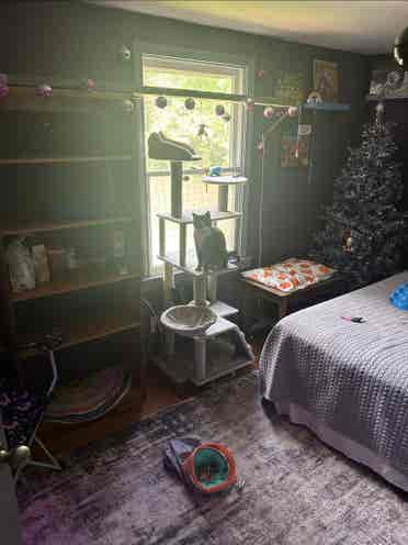 Room 4 Rent