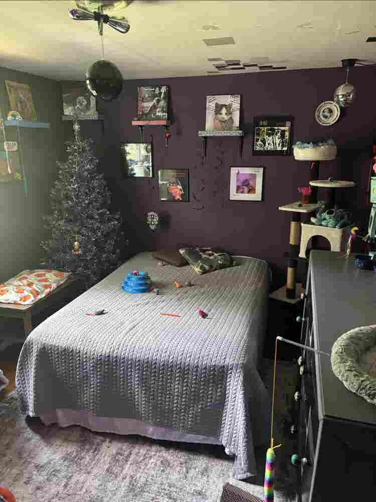 Room 4 Rent