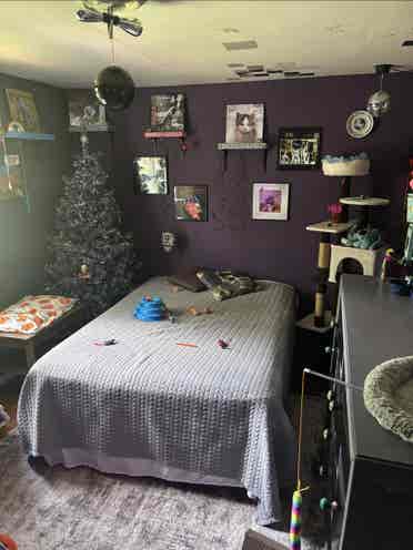 Room 4 Rent