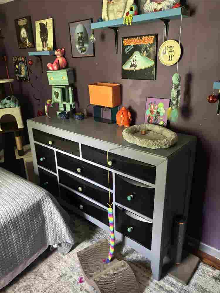 Room 4 Rent