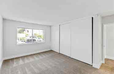 Looking for a Roommate