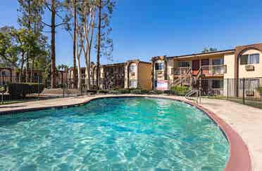 Looking for a Roommate