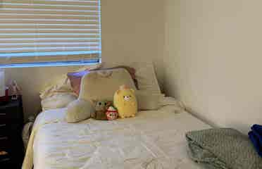 Looking for a Roommate