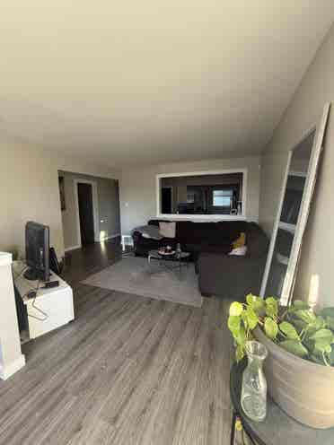 Room available