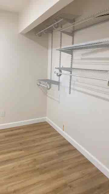 Looking for a Roomate
