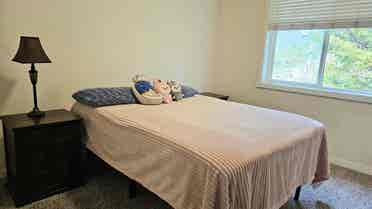 Private Room in Issaquah Highlands