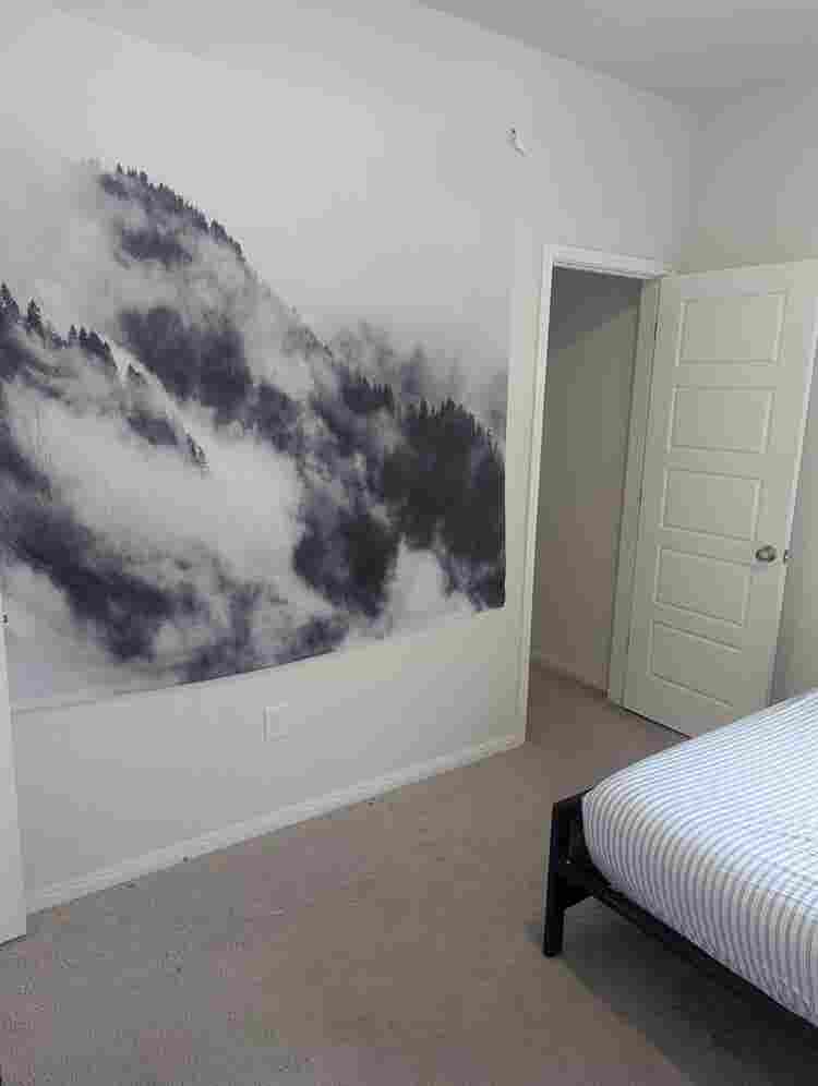 Quiet, private room  shared bath