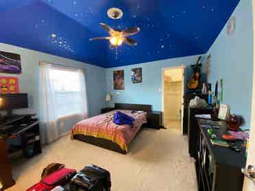 5 BR in Plano