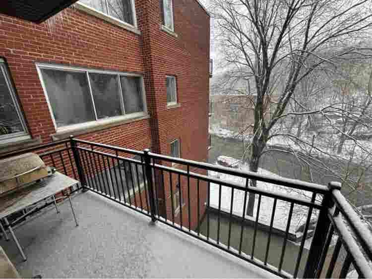 Roommate wanted