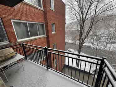 Roommate wanted