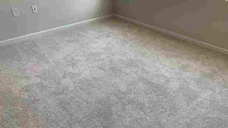 3 BR in Raleigh