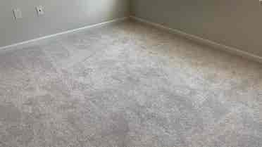 3 BR in Raleigh