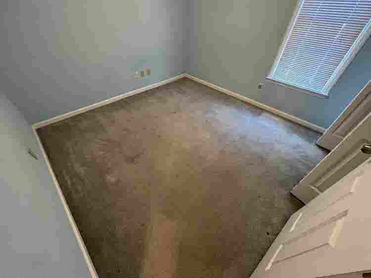 4 BR in Raleigh