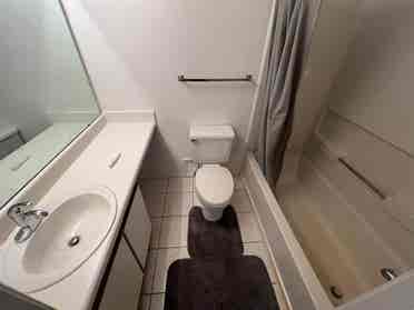 4 BR in Raleigh