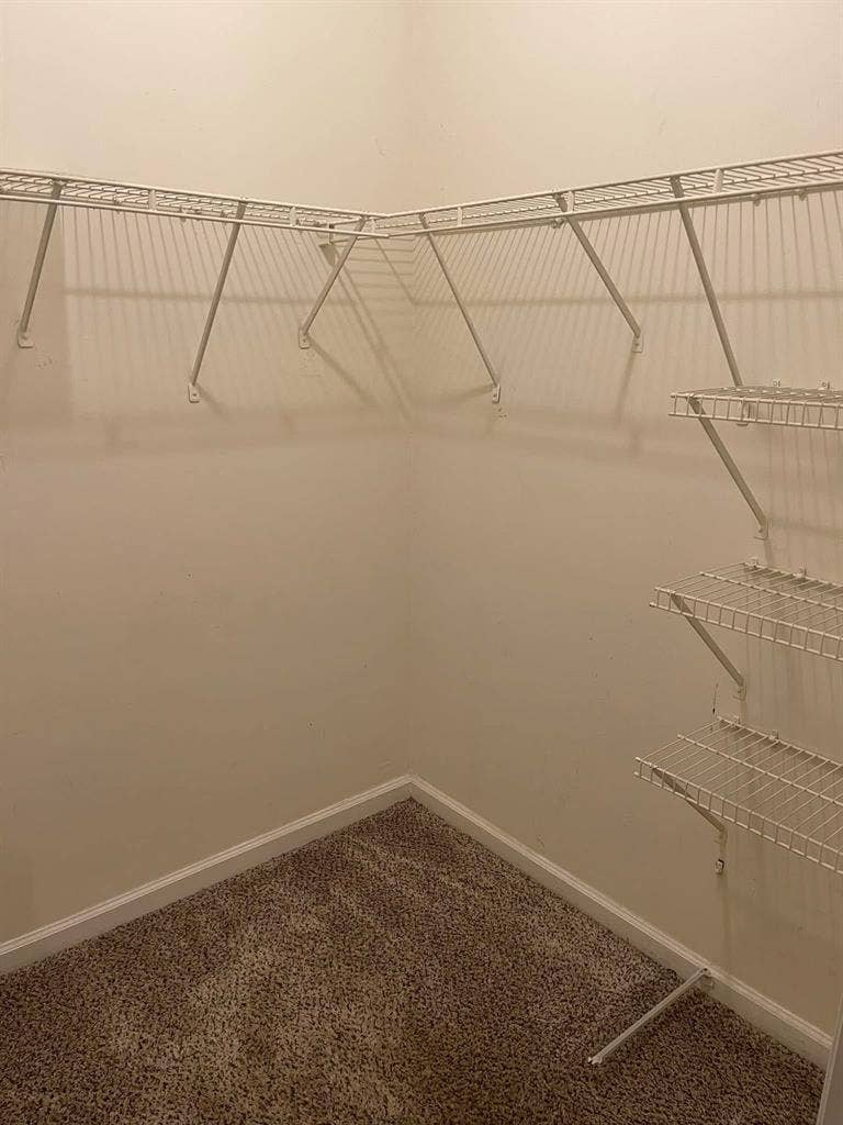 Looking for roommate now