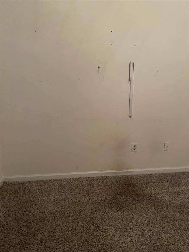 Looking for roommate now